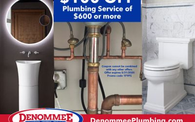 $100 OFF PLUMBING SERVICE OF $600 OR MORE