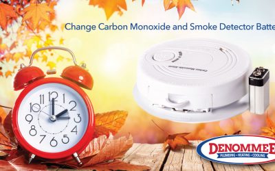 Check and Change Smoke and Carbon Monoxide Alarm Batteries.